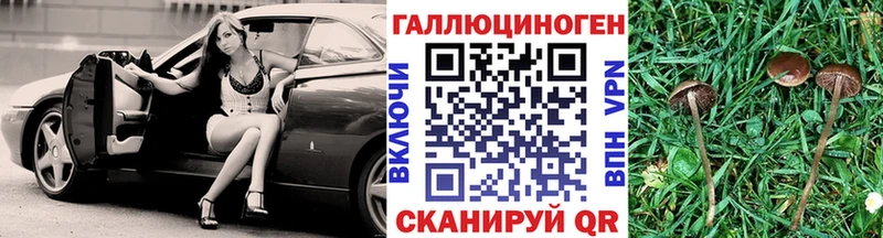 Галлюциногенные грибы мицелий  Советский 